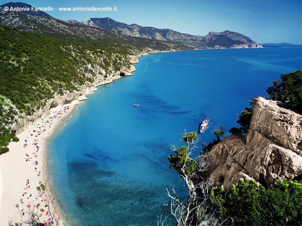 Piccolo Appartamento Al Centro Di Dorgali Εξωτερικό φωτογραφία